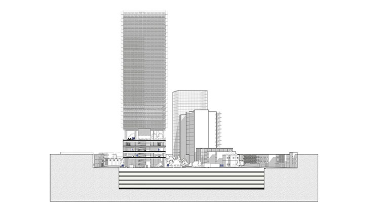 ����� ����� �������