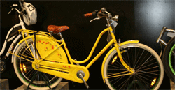 ����� ����